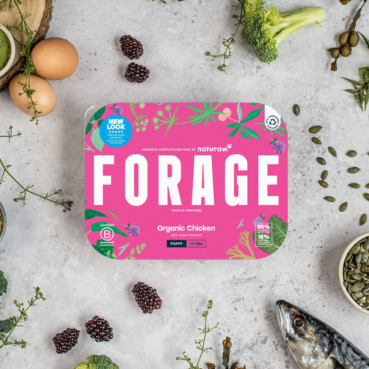 Forage Puppy: Organic Chicken - Naturaw