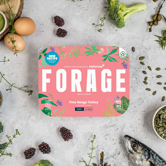 Forage Puppy: Free Range Turkey - Naturaw