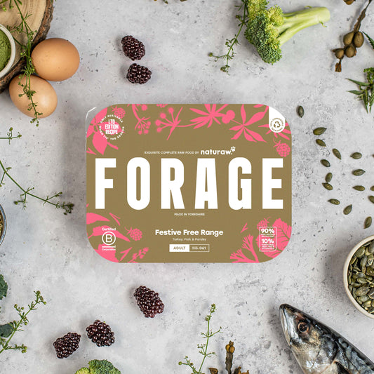 Forage Box: Festive Free Range