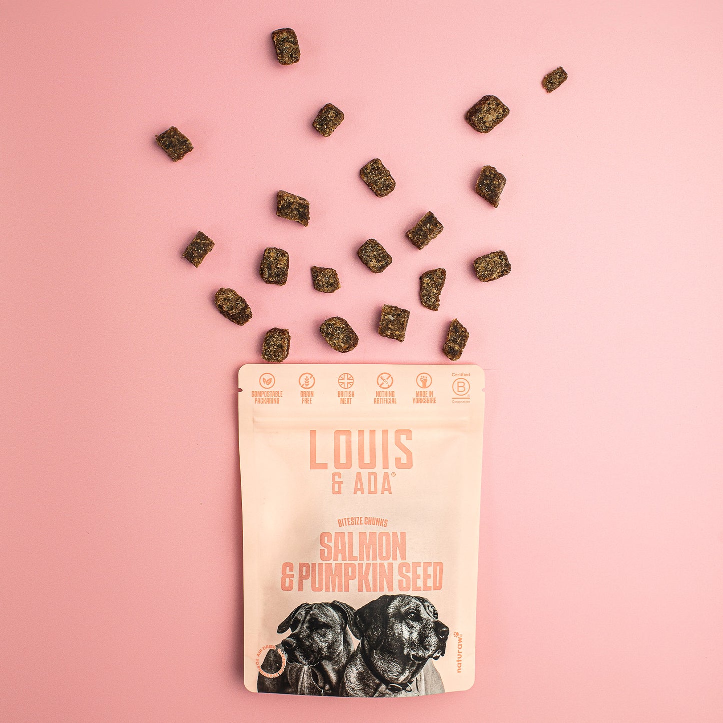 Salmon & Pumpkin Seed Treats - Naturaw