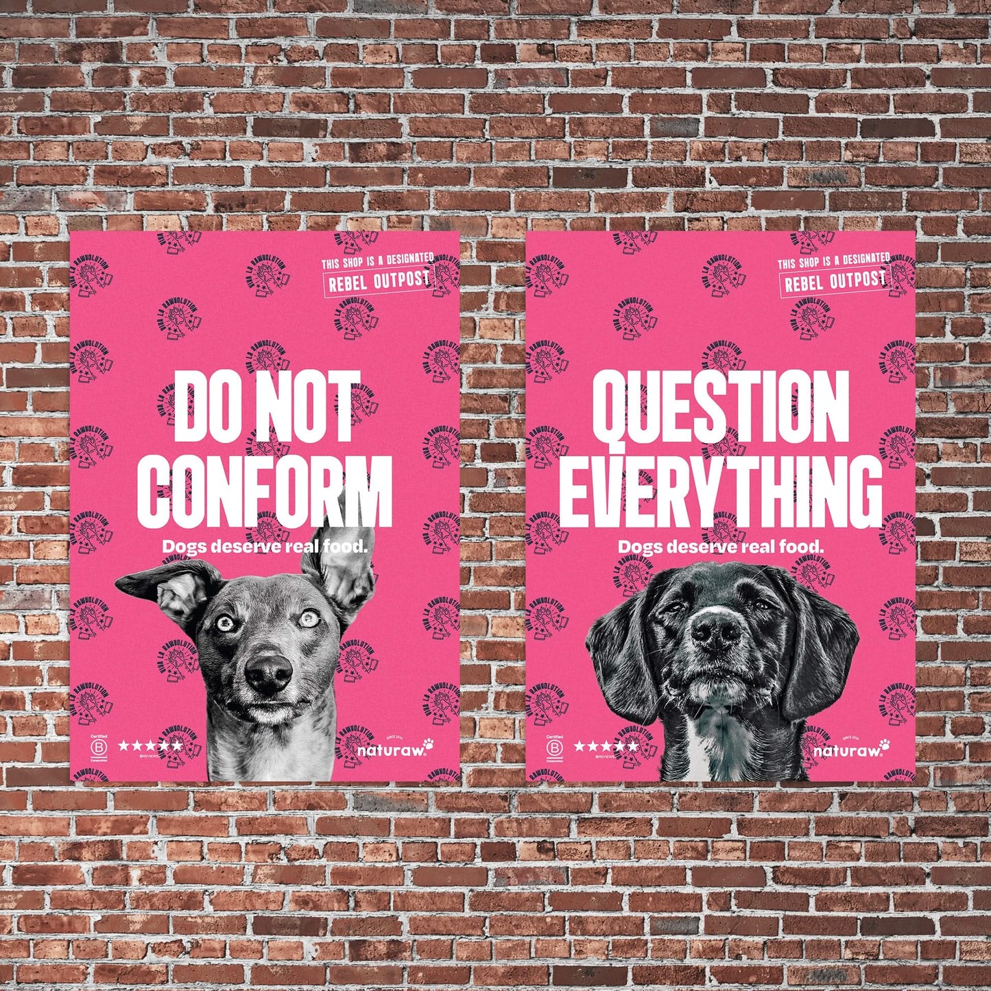 Forage Poster (x2) - Naturaw