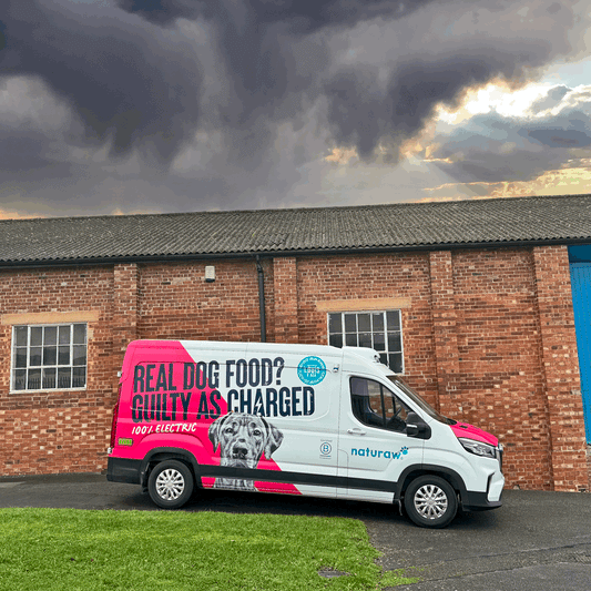 Raw Food Delivered In Our Electric Van