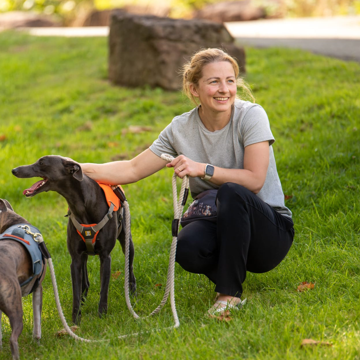The Mental Health Benefits of Owning a Dog