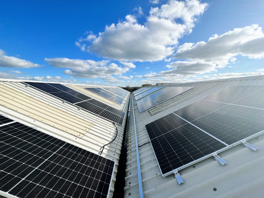 Solar Powered Raw Dog Food!