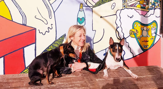 Not All Raw Dog Food Is Created Equal