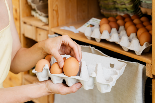 The Benefits of Feeding Eggs to Dogs
