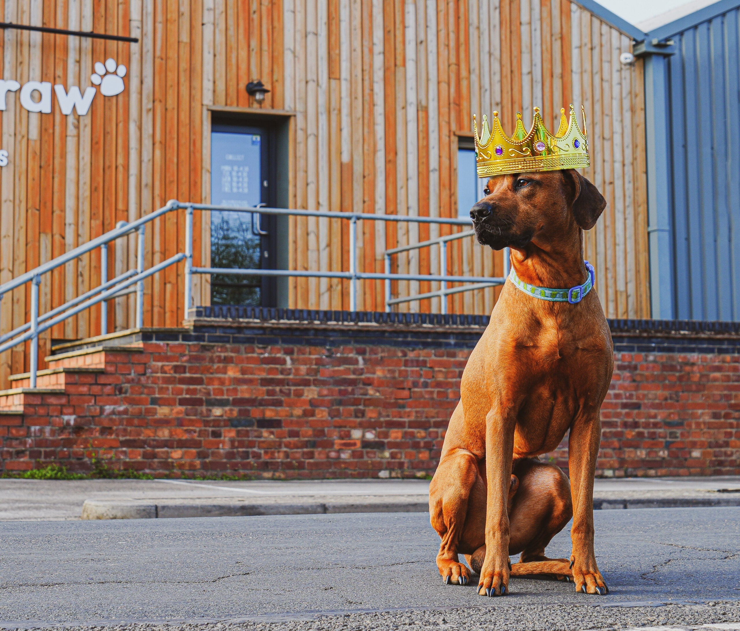 Naturaw honoured with the first ever Kings Award for Enterprise