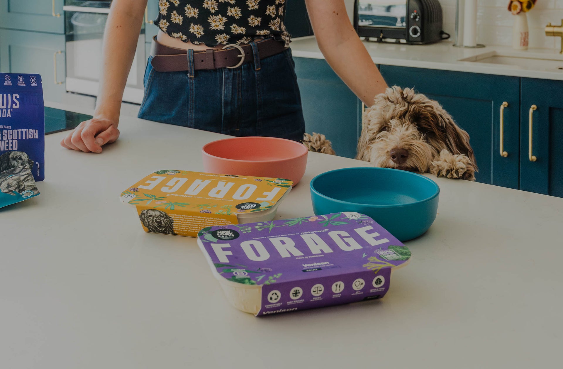 Low Fat Raw Dog Food