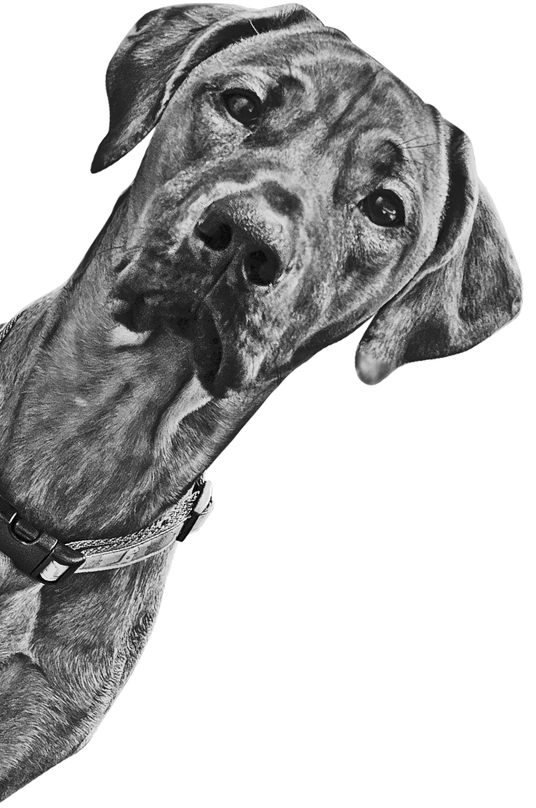 Floating Bottom Left