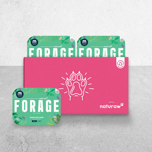 Forage Box: Grass Fed Lamb