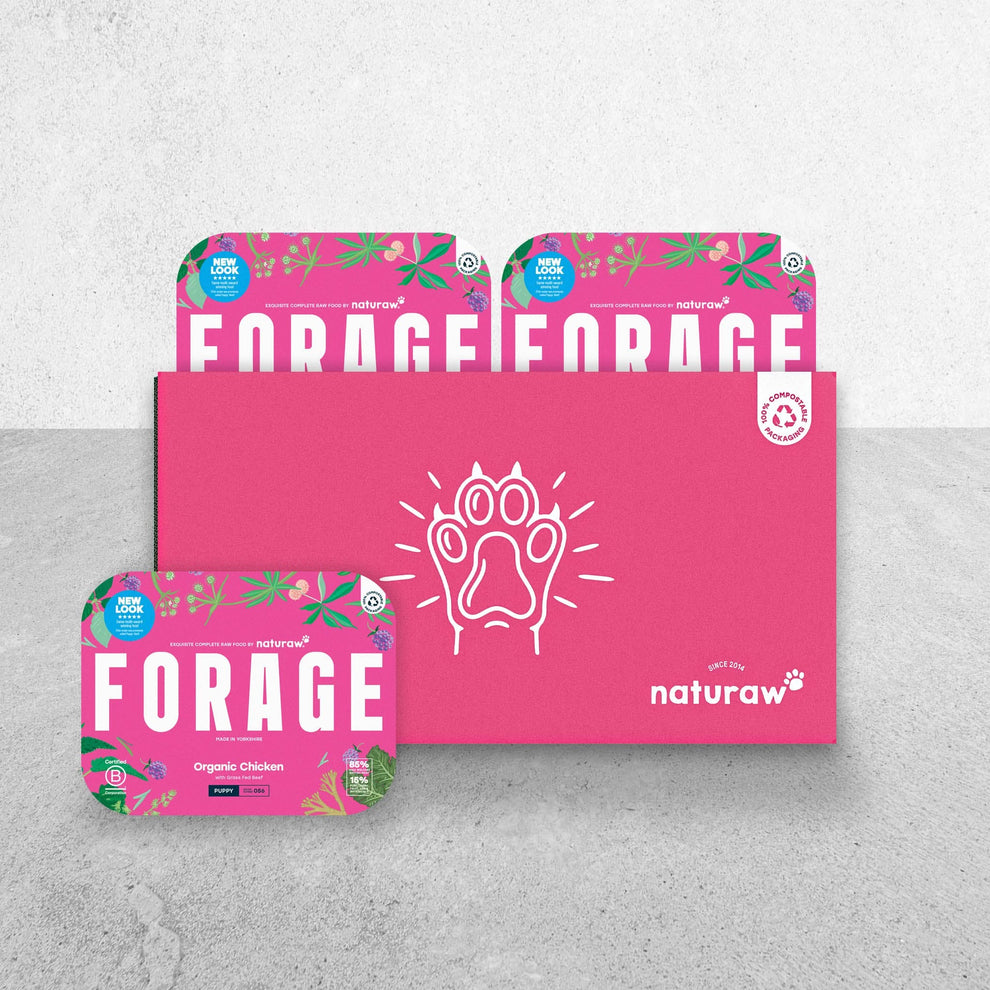 Best Raw Food for Puppies - Award-winning Forage by Naturaw, Puppy Box