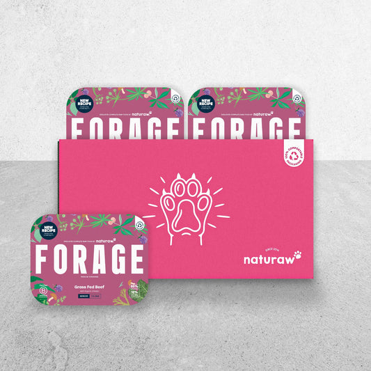 Forage Senior Box: Grass Fed Beef