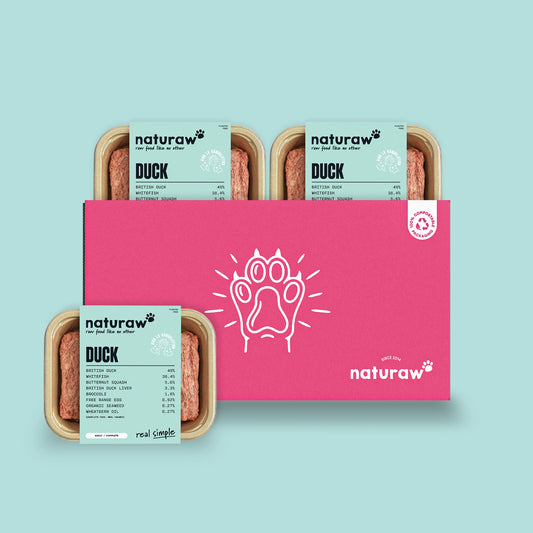 Real Simple Box: Duck