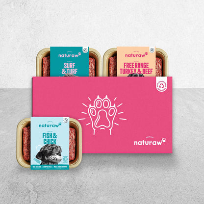 The Original Trial Bundle