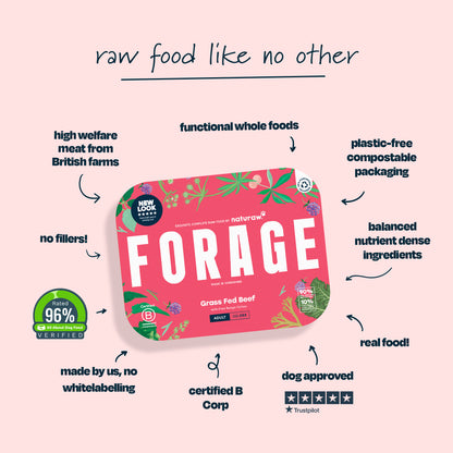 Forage: Grass Fed Beef