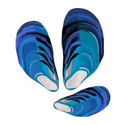 Blue Mussel
