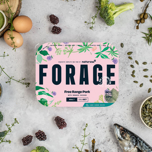 Forage: Free Range Pork