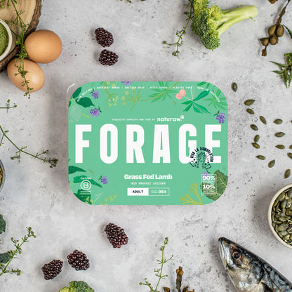Forage: Grass Fed Lamb