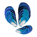Blue Mussel