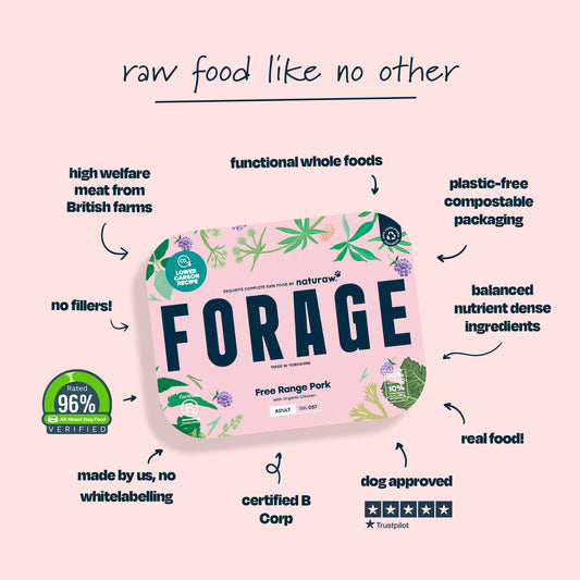Forage: Free Range Pork