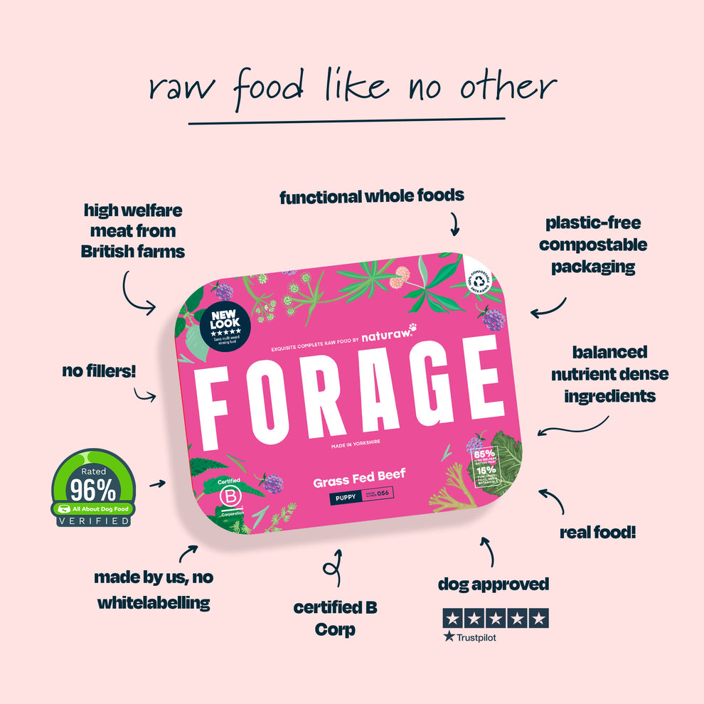 Forage - Complete Raw Puppy Food