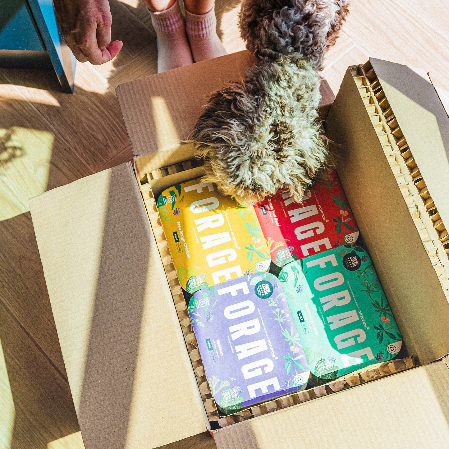 Forage Variety Bundle