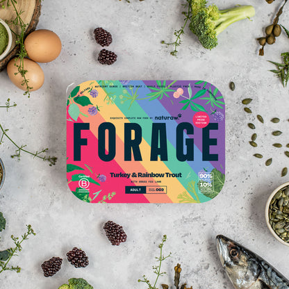 Forage: Turkey & Rainbow Trout