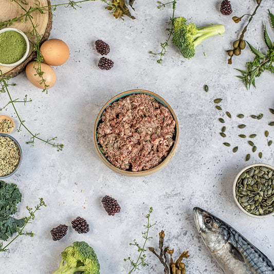 Forage Favourites Bundle