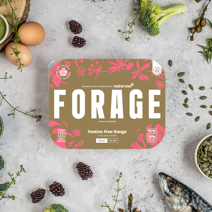 Forage: Festive Free Range
