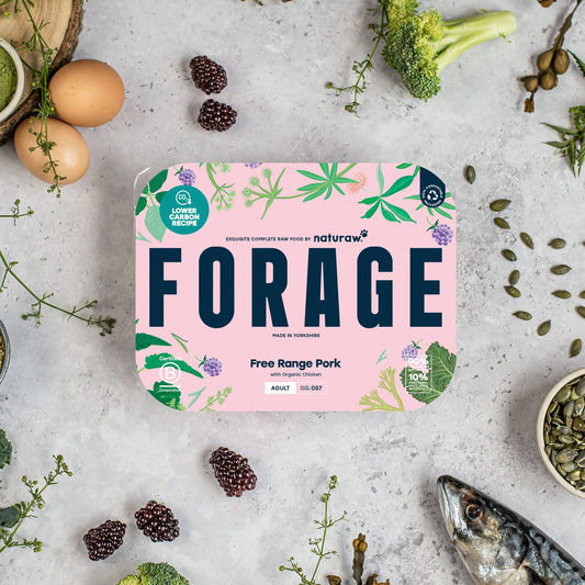Forage Subscription Box Forage: Complete Raw Food For Dogs by Naturaw