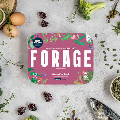 Forage Senior Box: Grass Fed Beef