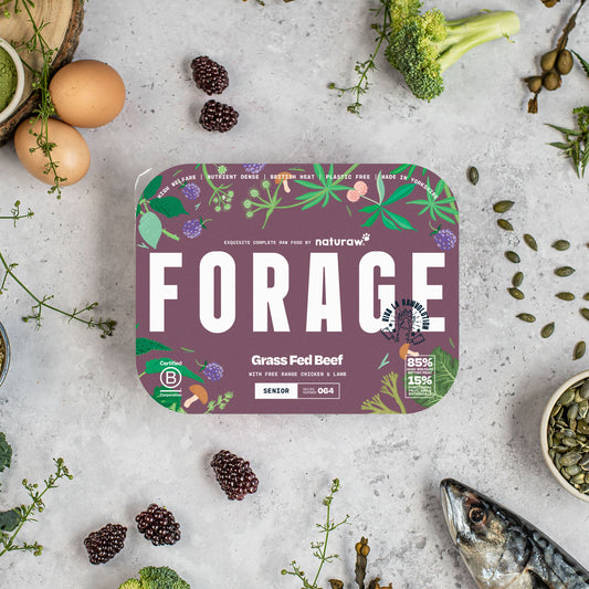 Forage Senior: Grass Fed Beef
