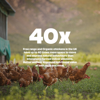 Beef & Organic Chicken - Naturaw 