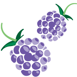 Blackberries