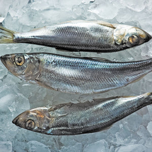 Whole Oily Fish