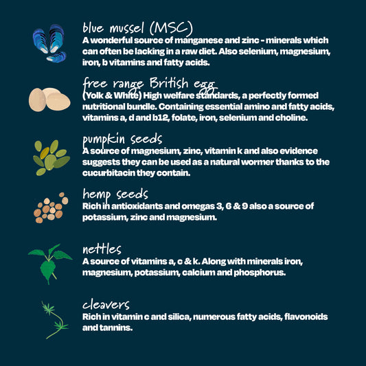 Forage: Grass Fed Beef