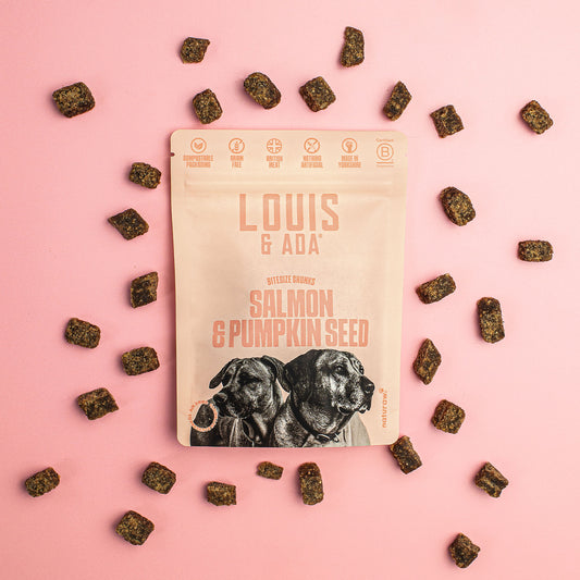 Salmon & Pumpkin Seed Treats