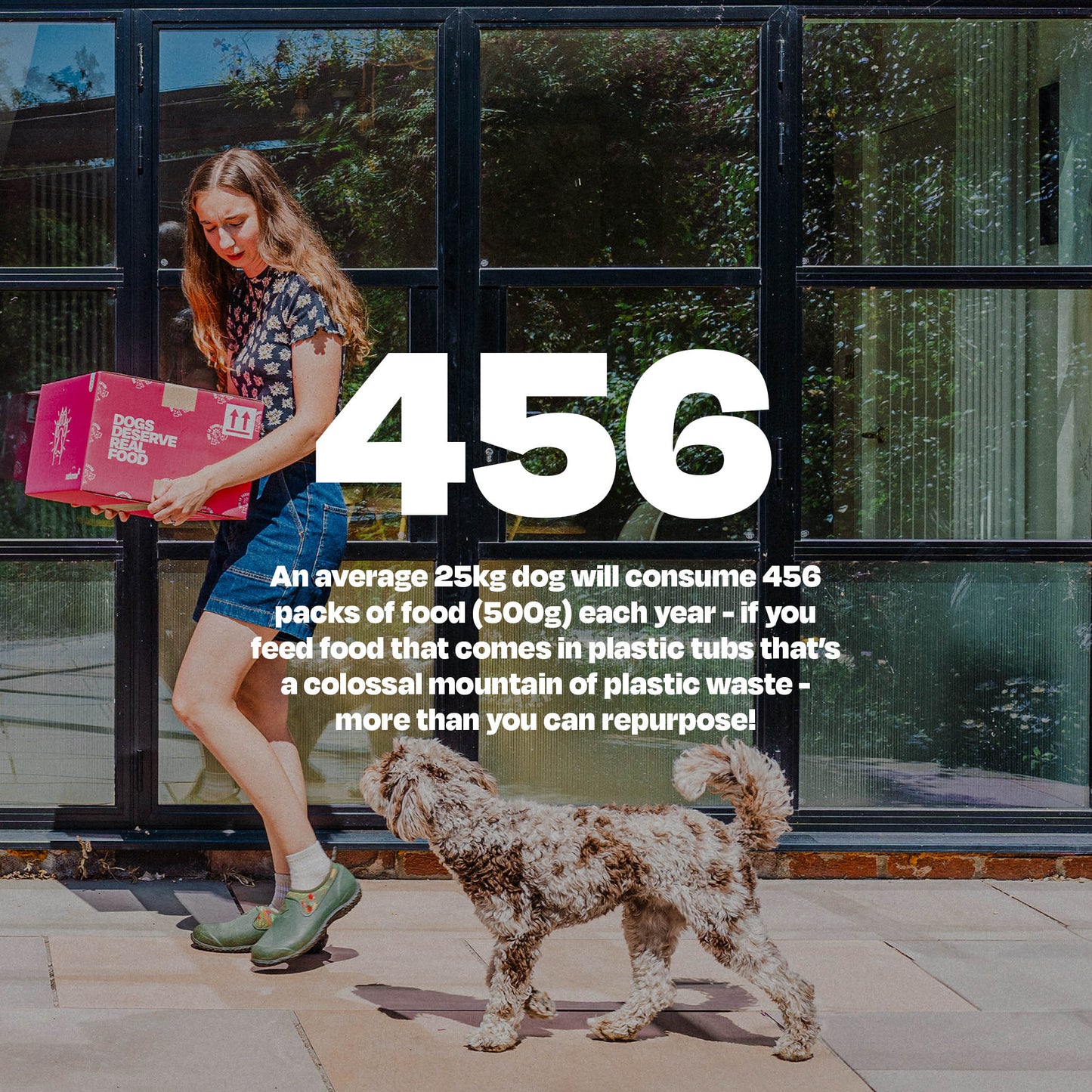 Beef & Organic Chicken - Naturaw 