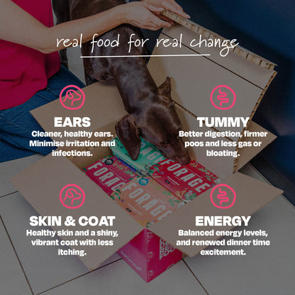 Forage: Free Range Pork