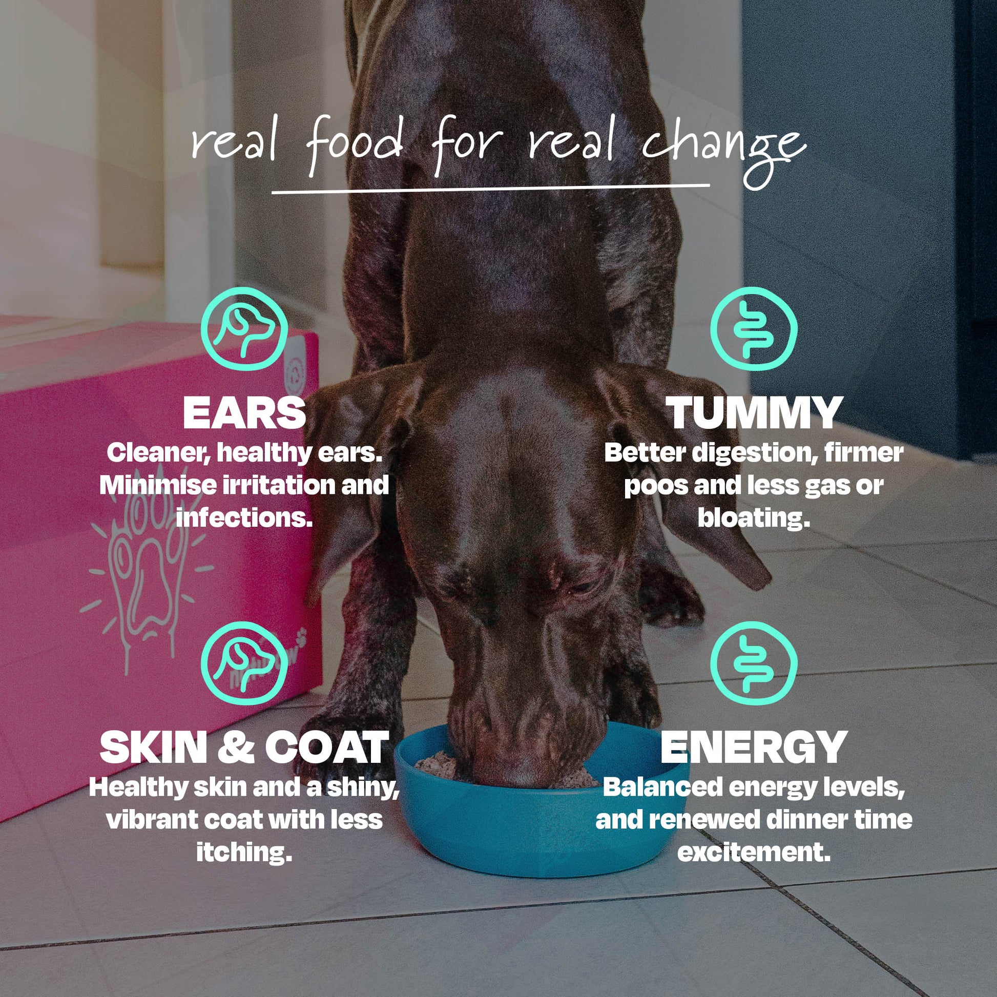 Beef & Organic Chicken - Naturaw 