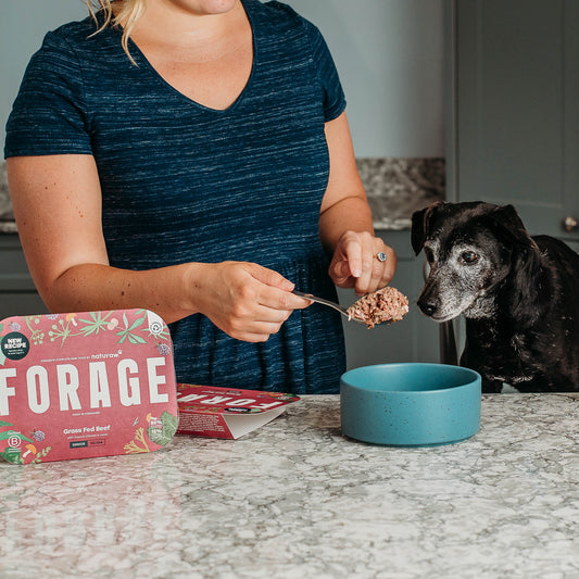 Forage Senior: Grass Fed Beef