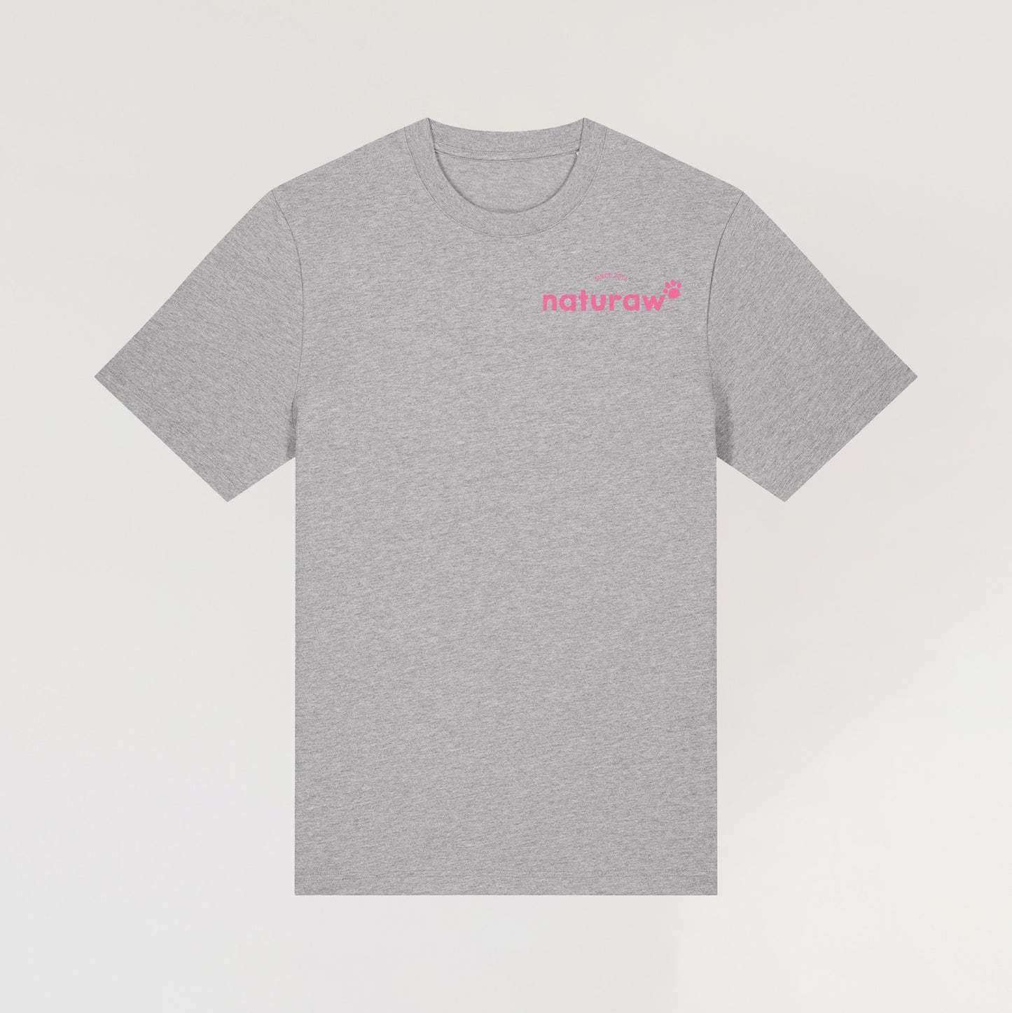 Rawvolution T Shirt - Heather Grey