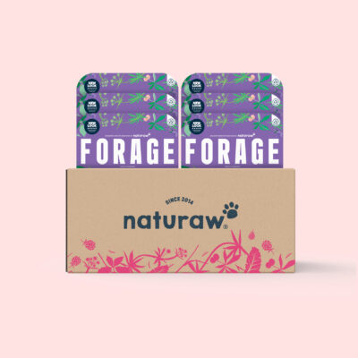 Forage: Venison Box (Large)