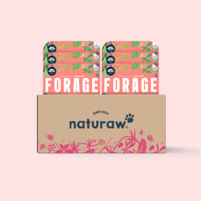 Forage Puppy: Free Range Turkey Box (Small)