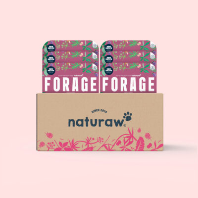 Forage Senior: Grass Fed Beef Box (Large)