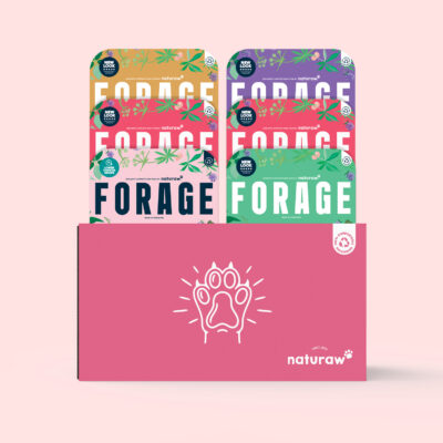 Dogfest Forage Box - 8 (adult)